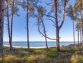 white sandy beach - view through the dune forest to the Baltic Sea between Zinnowitz and Zempin on the island of Usedom