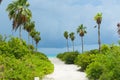 White sandy path between bushes and palm trees Royalty Free Stock Photo