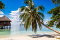 White sandy tropical beach in Maldives