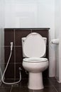 White sanitary wares in toilet