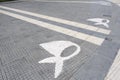 White scarves, symbol of the Mothers of Plaza de Mayo, on the ground of this square