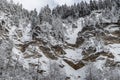 White scene of winter beauty snow forest inside, trees on a rock slope, panorama of wild nature wintery background Royalty Free Stock Photo