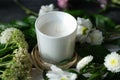 White scented candle and delicate flowers