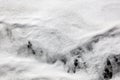 White sea foam on black sand. Royalty Free Stock Photo