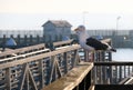 White sea gull perched on a railing. Royalty Free Stock Photo