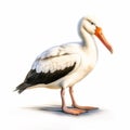 White Sea Pelican Drawing In Vray Tracing Style