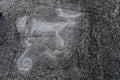 White Sea petroglyphs ancient rock paintings