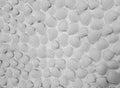 White sea shell pattern seamless texture background on white wall Royalty Free Stock Photo