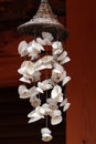 White sea shells of cockles as a wind chime