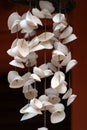 White sea shells of cockles and clams as a wind chime Royalty Free Stock Photo