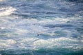 White seagull flying over mediterranean sea.