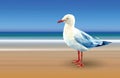 White seagull low polygon stand on sea blue sky background