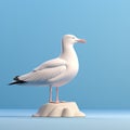 Symbolic White Seagull 3d Model With Photo-realistic Techniques