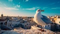 White seagull is standing on the fortress wall on the background of the city tiled roofs