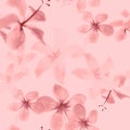 White Seamless Leaves. Gray Pattern Nature. Coral Tropical Hibiscus. Pink Spring Painting. Flower Vintage. Floral Leaves. Flora Royalty Free Stock Photo