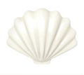 White seashell. 3d illustration