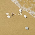 White seashell on sand beach in water Royalty Free Stock Photo