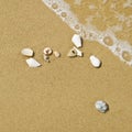 White seashell on sand beach in water