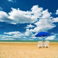 White seashell on sand beach in water Royalty Free Stock Photo