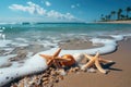 White seashell and starfish resting on ivory sands, beautiful summer photo