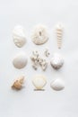 White seashells collection Royalty Free Stock Photo