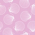 white seashells on pink background sea ocean shell pattern seamless vector Royalty Free Stock Photo