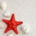 White seashells and red seastar Royalty Free Stock Photo