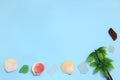 White seashells, sea glasses, and palm tree on blue background.