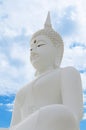 White Seated Buddha Image in Attitude of Subduing Mara