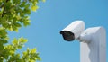 White security camera mounted on pole against clear blue sky with green leaves. Modern surveillance technology monitors Royalty Free Stock Photo