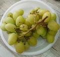 White seedless grapes Royalty Free Stock Photo