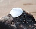 White Selenite Heart from Morocco on the beach