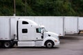 White semi truck with trailer whating cargo on parking lot in row with another trailers Royalty Free Stock Photo