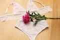 White bra and lingerie panties Royalty Free Stock Photo