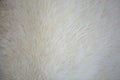 White shaggy blanket texture as background. Fluffy fake textile fur. Royalty Free Stock Photo