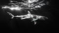 White shark in black and white in the ocean created with Generative AI. Royalty Free Stock Photo