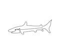 White shark, carcharodon carcharias continuous line drawing. One line art of predatory fish, seafood, marine animals.