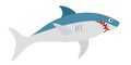 White shark cartoon vector illustration. Predatory fish