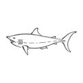 White shark character abstract ink hand drawn vector logo cartoon. Simplified retro illustration. Ocean blue. Sea animal Royalty Free Stock Photo