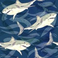 White shark, hand painted watercolor illustration, seamless pattern on dark blue ocean surface with waves Royalty Free Stock Photo