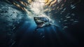 A White Shark moving fast forward Royalty Free Stock Photo