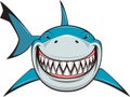 White shark Royalty Free Stock Photo