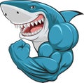 White shark Royalty Free Stock Photo