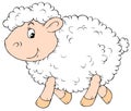 White Sheep Royalty Free Stock Photo