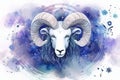 White sheep background wild ram mammal horn nature portrait animal bighorn wildlife head Royalty Free Stock Photo