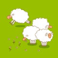 White Sheep Grazing On a Green Meadow Royalty Free Stock Photo