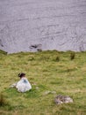 White sheep laying on a grass bay a lake, Connemara , Ireland. Concept livestock, agriculture, farming Royalty Free Stock Photo