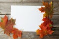 White sheet with autumn leaves Royalty Free Stock Photo