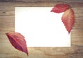 White sheet with autumn leaves on a wooden texture. Royalty Free Stock Photo