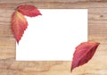 White sheet with autumn leaves on a wooden texture. Royalty Free Stock Photo